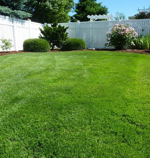 myrtle-beach-back-yard-surrounded-by-vinyl-fence-q97s1cmkcccr5bqyywpfayfwarwyu0q0s0n3u232ls